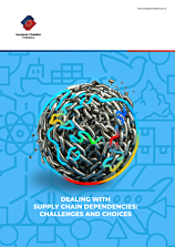 Dealing with Supply Chain Dependencies: Challenges and Choices
